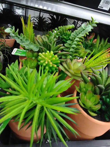 Craft Store «Michaels», reviews and photos, 4687 Firestone Blvd, South Gate, CA 90280, USA