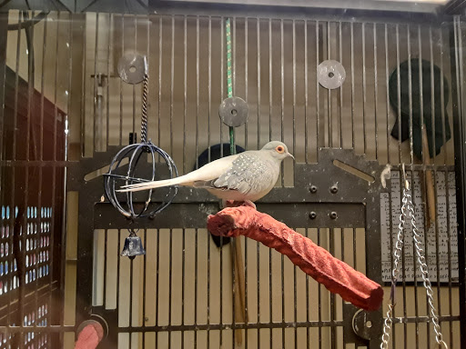 Pet Supply Store «PetSmart», reviews and photos, 6204 W Park Blvd, Plano, TX 75093, USA