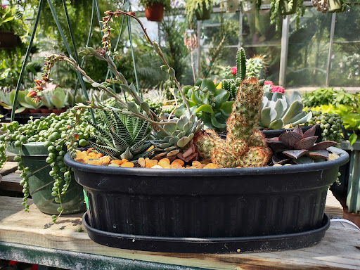 Garden Center «Westminster Nursery & Florist», reviews and photos, 30 Westminster Rd, West Hempstead, NY 11552, USA