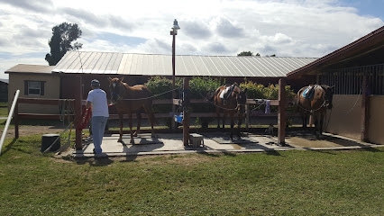 Serenity Show Stables