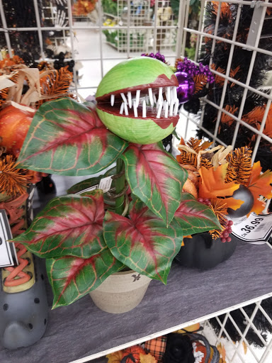 Craft Store «Michaels», reviews and photos, 24081 Chagrin Blvd, Beachwood, OH 44122, USA