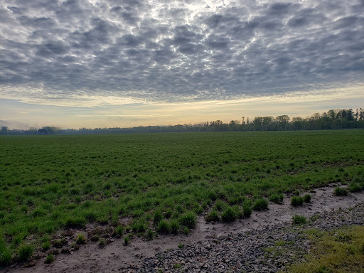 Golf Club «Golf Club of Oregon», reviews and photos, 905 NW Springhill Dr, Albany, OR 97321, USA