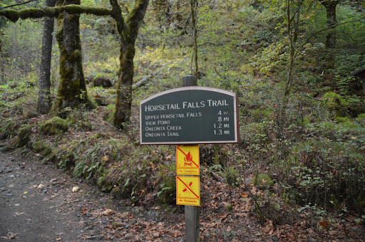 Waterfall «Horsetail Falls», reviews and photos, Historic Columbia River Hwy, Cascade Locks, OR 97014, USA
