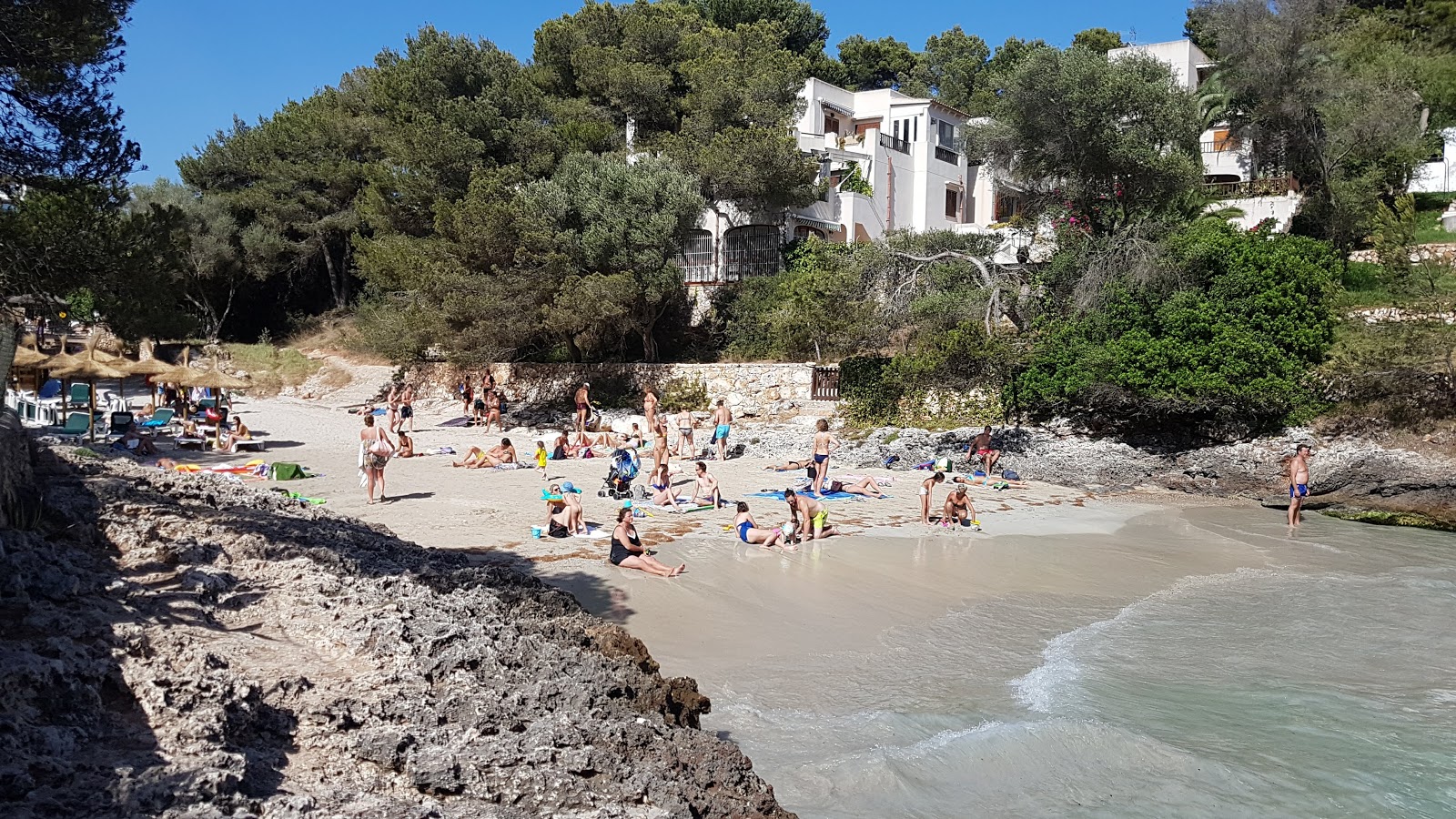 Playa de Cala Serena'in fotoğrafı imkanlar alanı