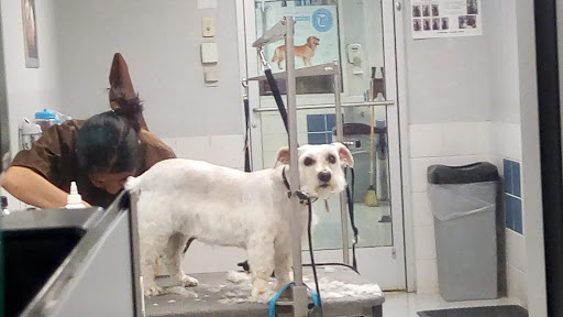 Pet Supply Store «Petco Animal Supplies», reviews and photos, 2520 E 3rd St, Bloomington, IN 47401, USA