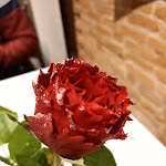 Photo n°2 de l'avis de Alessandra.t fait le 20/12/2021 à 10:53 sur le  Ristorante L' Amo Piacenza à Piacenza