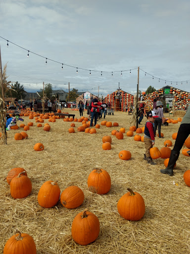 Produce Market «Kuwahara Farms», reviews and photos, 736 12300 S, Draper, UT 84020, USA