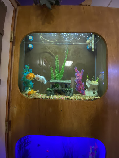 Pet Store «Forever Pets Inc», reviews and photos, 1030 Basse Rd, San Antonio, TX 78212, USA