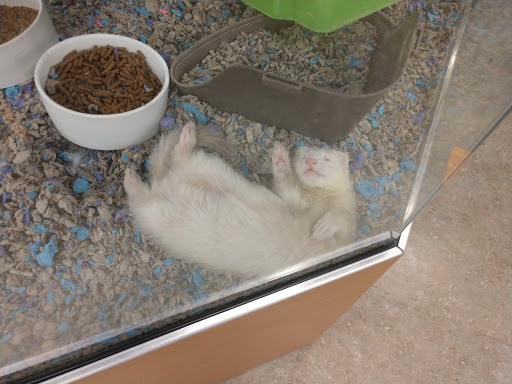 Pet Supply Store «Petco», reviews and photos, 3434 Court St, Pekin, IL 61554, USA