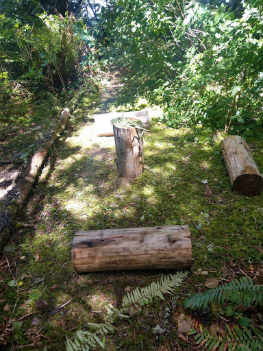 Arena «ShoWare Center», reviews and photos, 625 W James St, Kent, WA 98032, USA