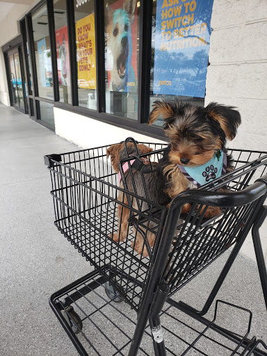 Pet Supply Store «Petco Animal Supplies», reviews and photos, 30697 US Hwy 19 N, Palm Harbor, FL 34684, USA