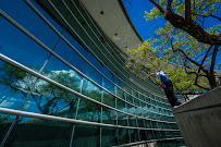 Mountain View Window Cleaning - Photo 5 - Car repair in Fresno, CA, Fresno