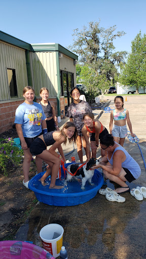 Animal Shelter «SPCA of Brazoria County», reviews and photos