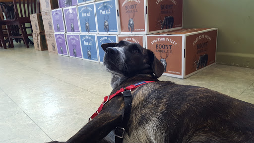 Brewery «Anderson Valley Brewing Co», reviews and photos, 17700 Boonville Rd, Boonville, CA 95415, USA