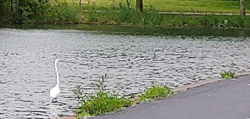 Park «Delaware Park», reviews and photos, Meadow Dr, Buffalo, NY 14214, USA