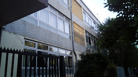 Liceo Arturo Alessandri Palma