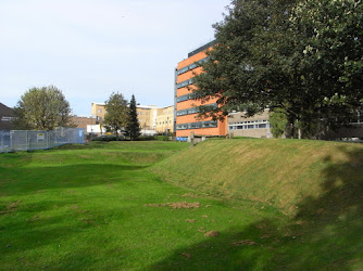 Metchley Roman Fort