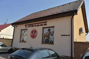 T-fitness image