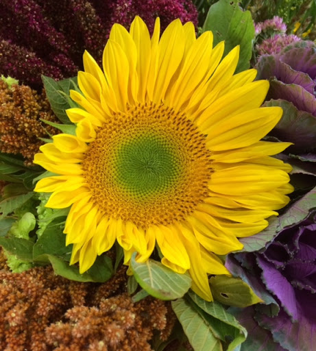 Florist «Autumn Rose Flower & Gift Shoppe», reviews and photos, 990 Bridgeport Ave, Milford, CT 06460, USA