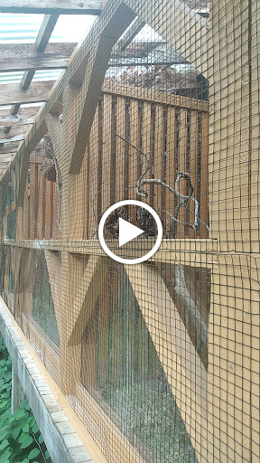 Museum «Harry C Barnes Memorial Nature Center», reviews and photos, 175 Shrub Rd, Bristol, CT 06010, USA