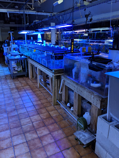 Pet Supply Store «Seascape Aquarium & Pet Center», reviews and photos, 2162 Gulf Gate Dr, Sarasota, FL 34231, USA