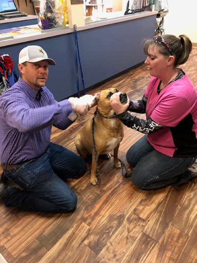 Castle Rock Veterinary Hospital