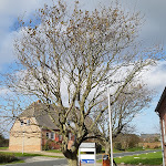 Photo n°4 de l'avis de Peter.r fait le 24/10/2018 à 13:08 sur le  Café Zollhaus à Rodenäs