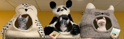 Pet Supply Store «Cat Shoppe & Dog Store», reviews and photos, 2824 Bransford Ave, Nashville, TN 37204, USA