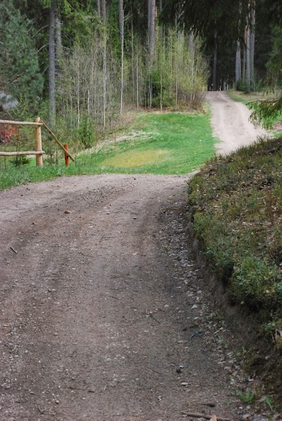 Photos of Valgemetsa Puhkek&uuml;la O&Uuml;