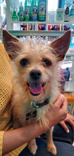 Pet Adoption Service «Found Animals Adopt & Shop», reviews and photos, 353 Lakewood Center Mall, Lakewood, CA 90712, USA