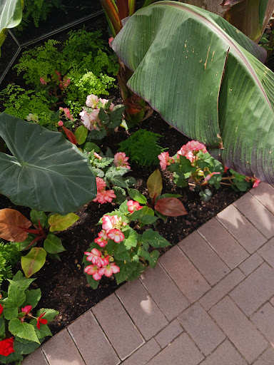 Gift Shop «Meijer Gardens Gift Shop», reviews and photos, 1000 E Beltline Ave NE, Grand Rapids, MI 49525, USA