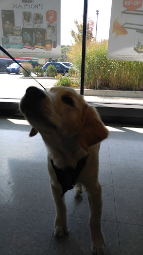Pet Supply Store «Pet Supplies Plus», reviews and photos, 646 Long Hill Rd, Groton, CT 06340, USA
