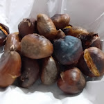 Photo n°4 de l'avis de Enza.a fait le 18/12/2023 à 09:47 sur le  Ristorante O'Tagliero à Banzano