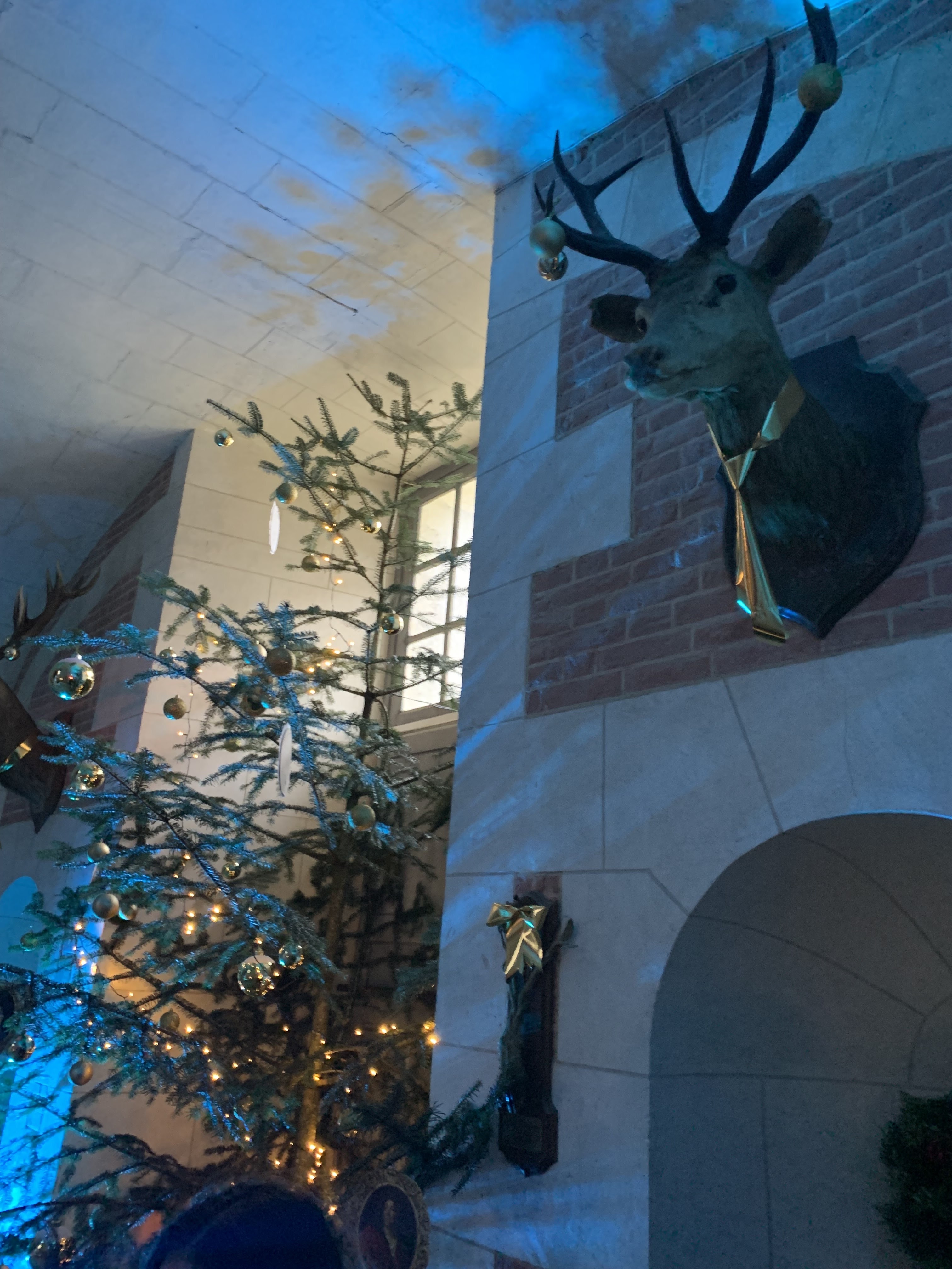 Photo n° 2 de l'avis de BASTIEN.i fait le 27/12/2023 à 18:13