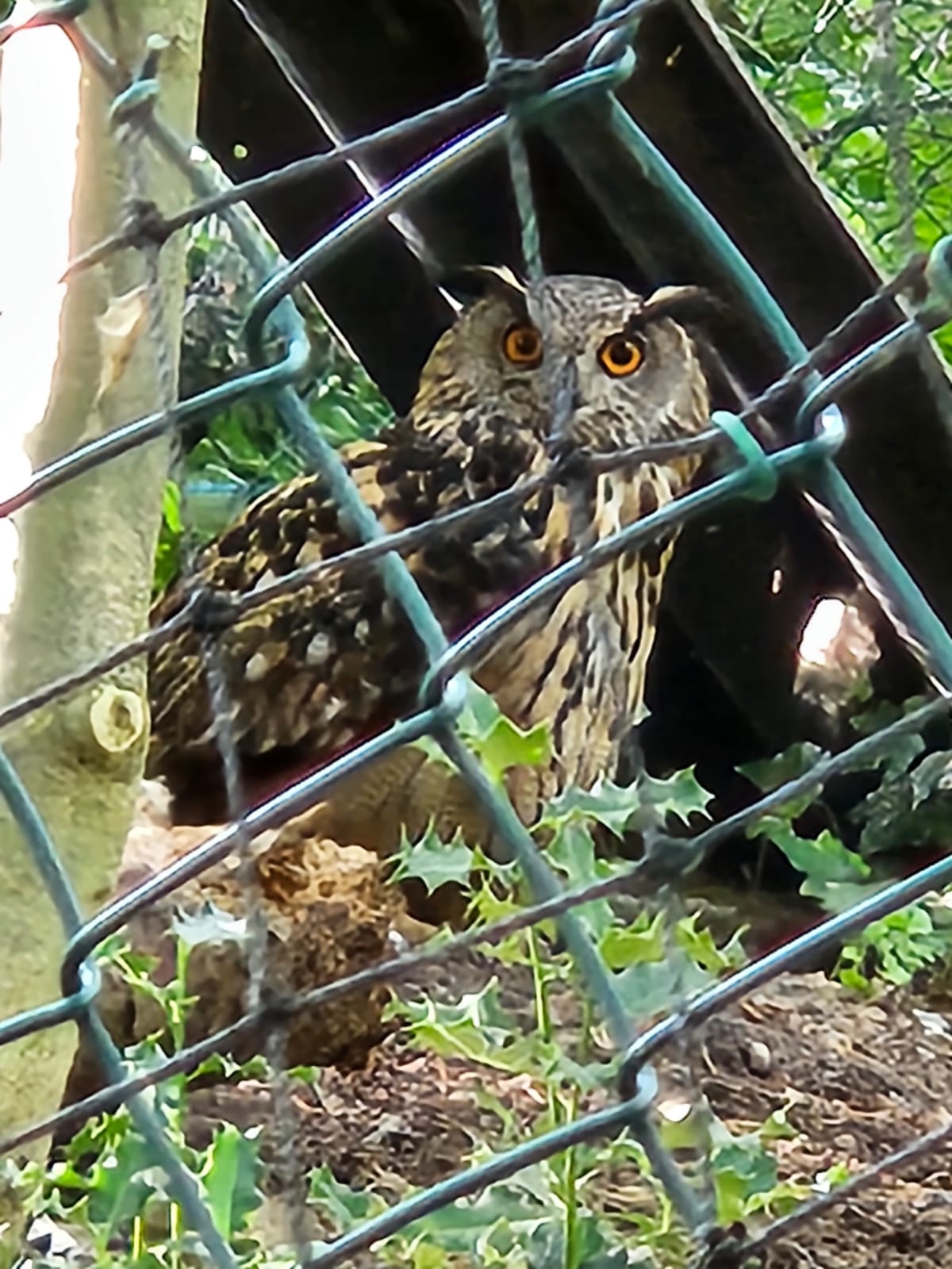 Photo n° 10 de l'avis de Chris. fait le 05/08/2023 à 05:18