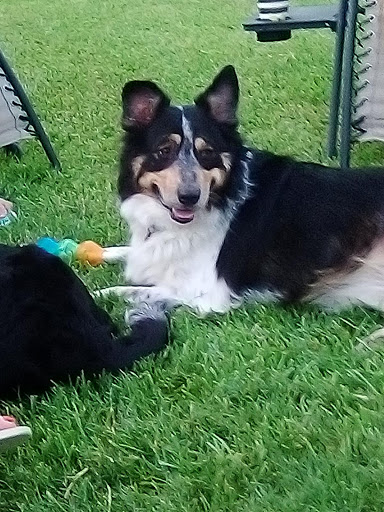 Country Club «Royal Oaks Country Club», reviews and photos, 2910 Royal Oaks Club Dr, Houston, TX 77082, USA