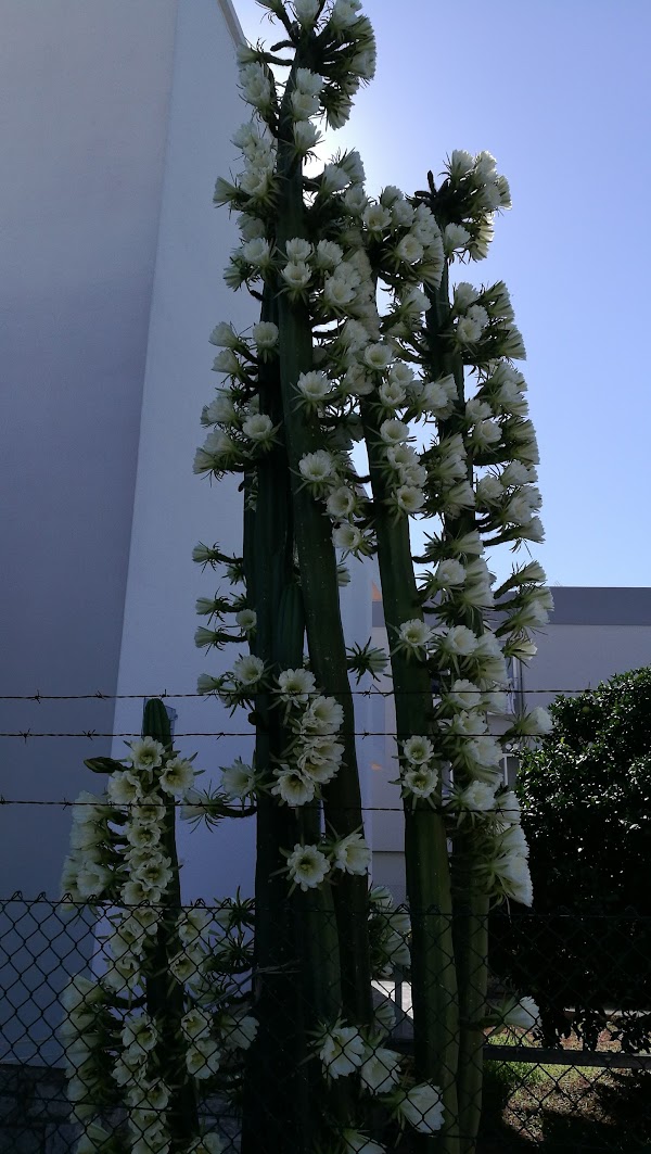 Imagen de Pinturas Martínez Ibiza (2 de 4)