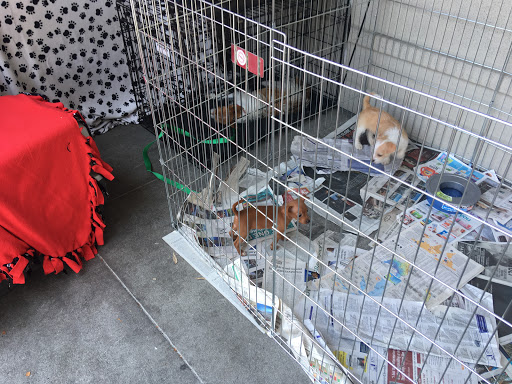 Pet Supply Store «Pet Food Express», reviews and photos, 3910 Middlefield Rd, Palo Alto, CA 94303, USA