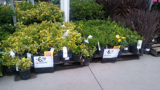 Home Improvement Store «The Home Depot», reviews and photos, 500 S Marengo Ave, Alhambra, CA 91803, USA