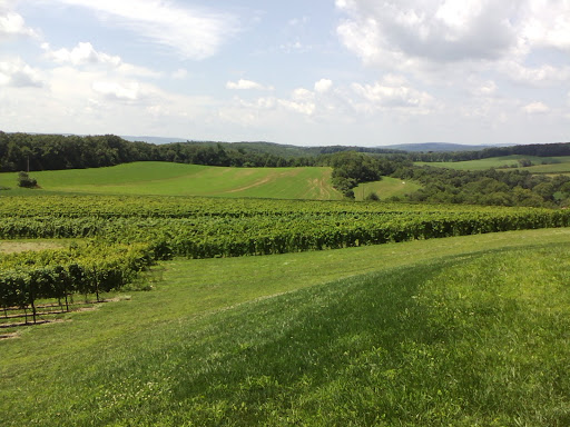 Winery «Galen Glen Winery», reviews and photos, 255 Winter Mountain Dr, Andreas, PA 18211, USA