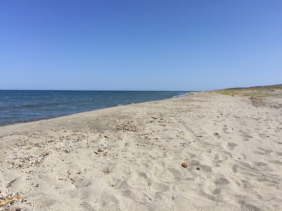 Pineto Beach