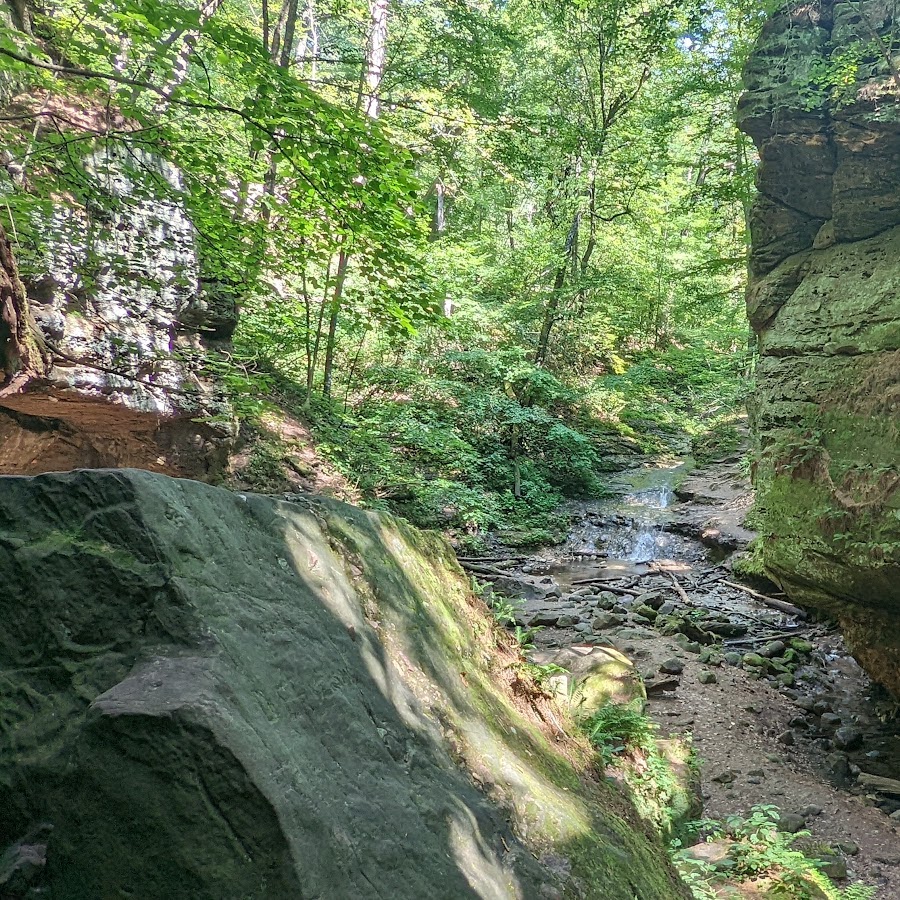 Parfrey's Glen State Natural Area