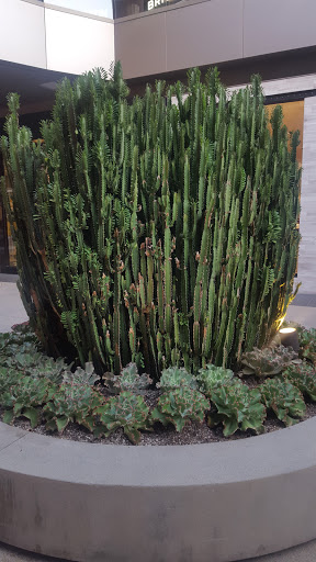 Computer Store «Apple Third Street Promenade», reviews and photos, 1415 3rd Street Promenade, Santa Monica, CA 90401, USA