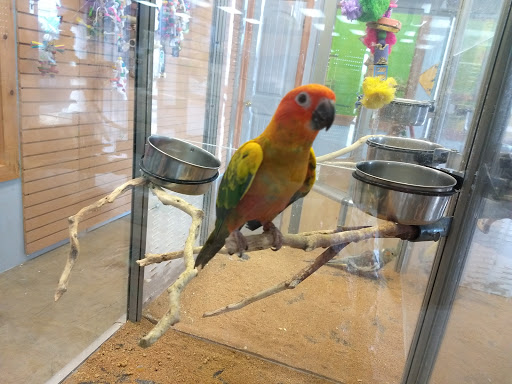 Pet Store «Pet Country», reviews and photos, 2665 Donaghey Ave #106, Conway, AR 72032, USA