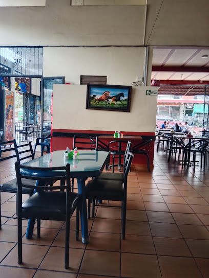 Asadero & Bar Los Guaduales - Carrera 5 - Calle 7 esquina, San Luis de Gaceno, Boyacá, Colombia