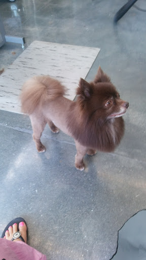 Pet Supply Store «Pet Supplies Plus», reviews and photos, 15880 San Carlos Blvd Ste 190, Fort Myers, FL 33908, USA