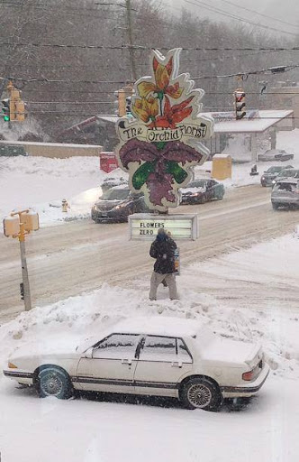 Florist «The Orchid Florist», reviews and photos, 1 Chase Ave, Waterbury, CT 06704, USA