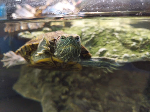 Pet Supply Store «Petco Animal Supplies», reviews and photos, 80 Plaza Dr, Bloomsburg, PA 17815, USA