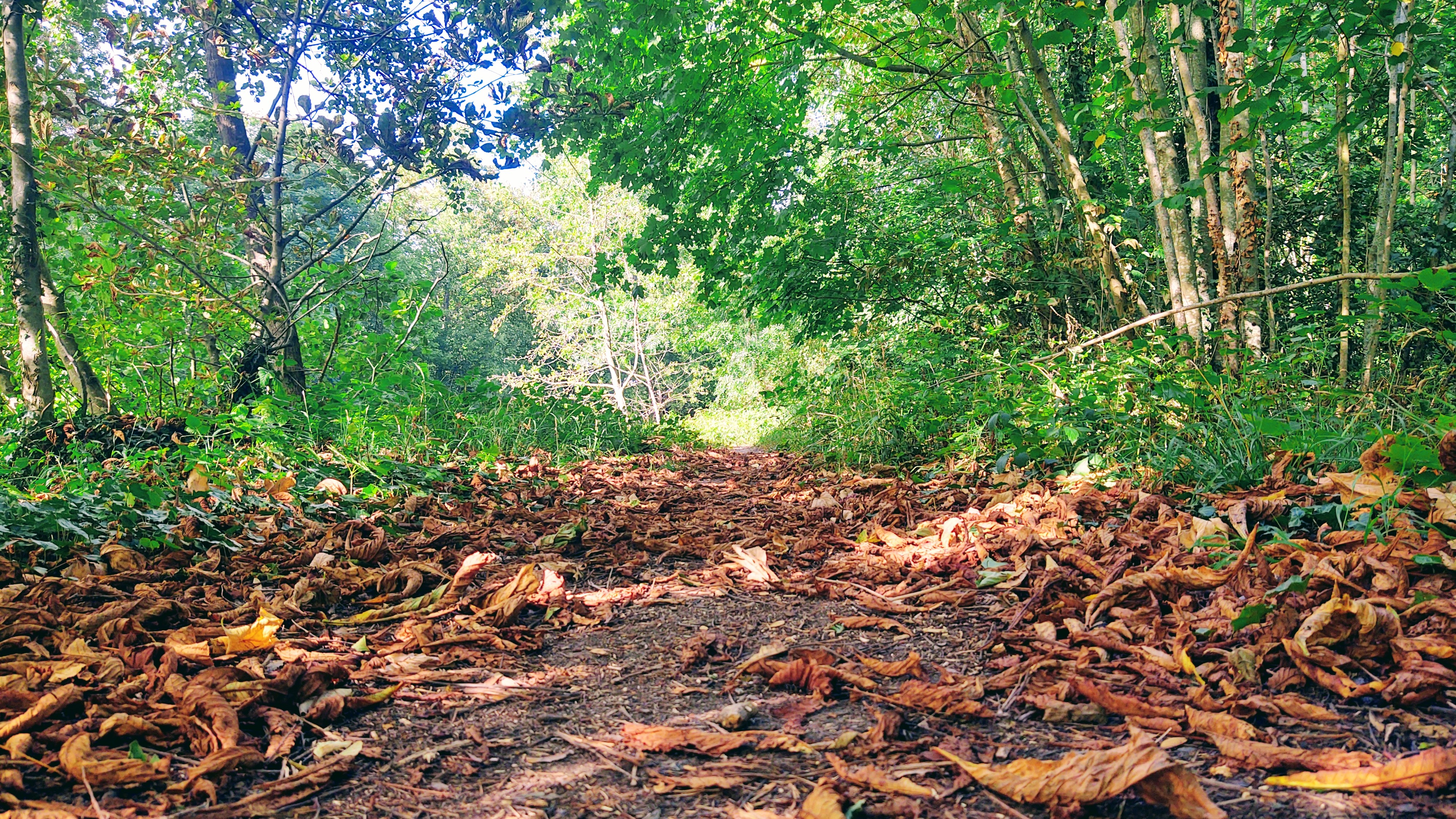 Photo n° 10 de l'avis de Polski.l fait le 02/09/2020 à 14:34