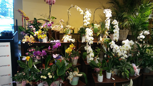 Grocery Store «Safeway», reviews and photos, 37601 US-26, Sandy, OR 97055, USA